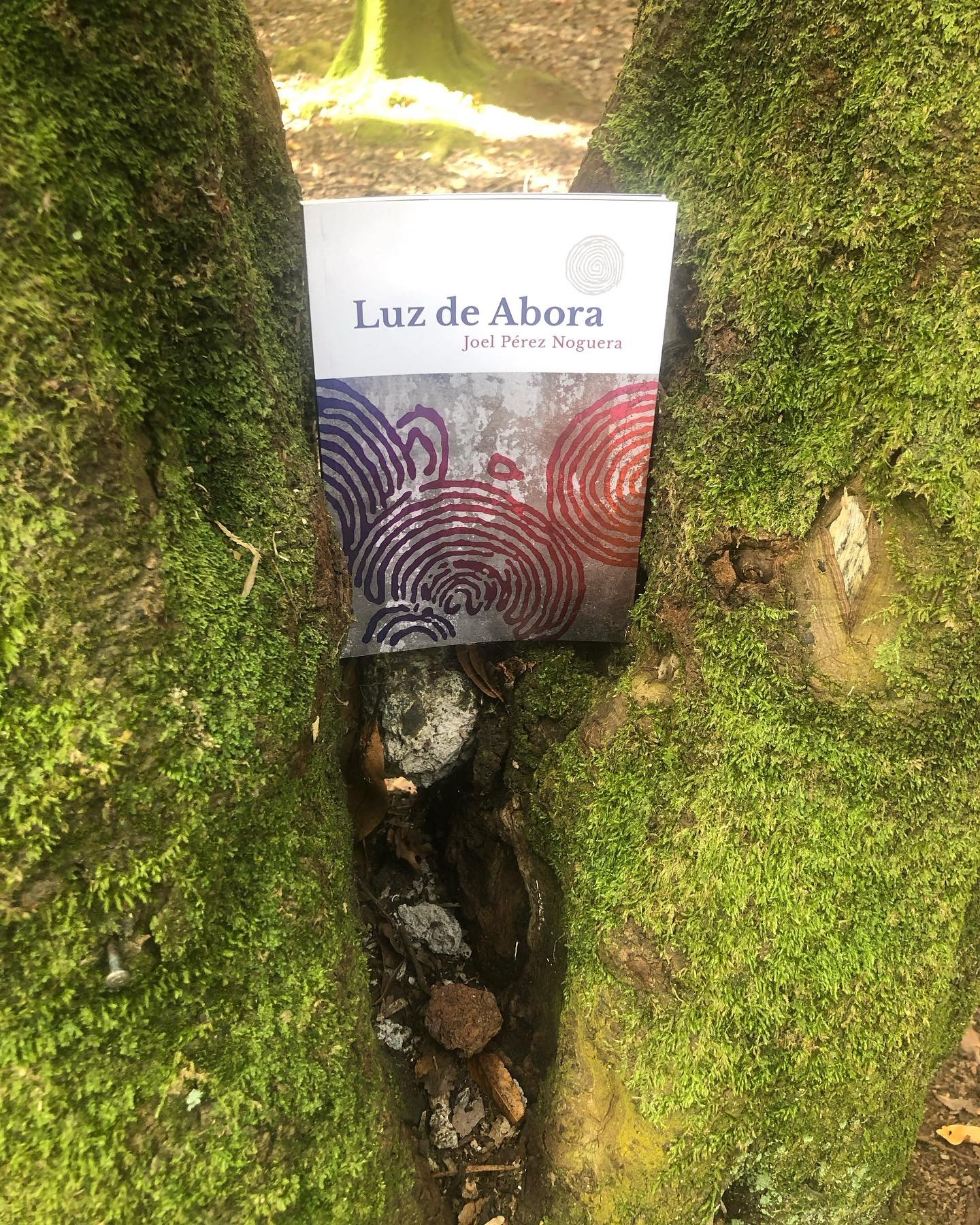 luzdeabora1